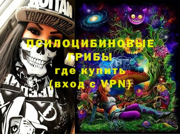 дурь Алзамай