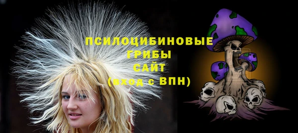 дурь Алзамай