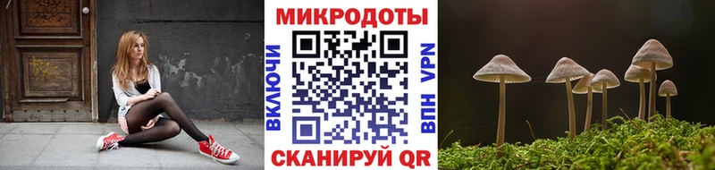 Псилоцибиновые грибы Psilocybine cubensis  Злынка 